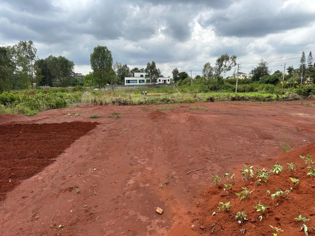 2 Quarter-Acre Plots for Sale – Golden Palms Gardens, Kiambu