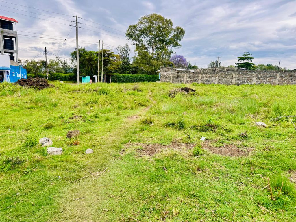 1/4 Acre Plot for Sale – Kiratina Road, Nakuru