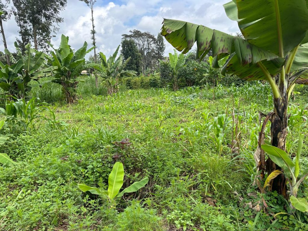 Residential Plot for Sale – Turitu, Boma Road, Kiambu